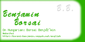 benjamin borsai business card